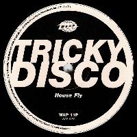 Tricky Disco - House Fly