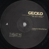 Gecko - Physical Description