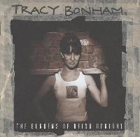 Tracy Bonham - The Burdens...