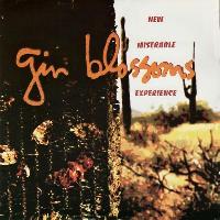 Gin Blossoms - New...