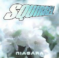 Squirrel (12) - Niagara