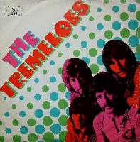 The Tremeloes - Here Come...