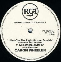 Caron Wheeler - Livin' In...