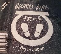 Guano Apes - Big In Japan