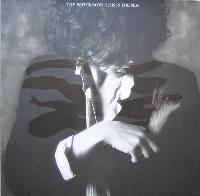 The Waterboys - This Is The...