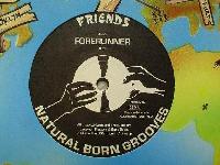 Natural Born Grooves -...