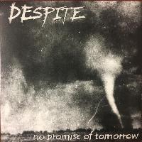 Despite - No Promise Of...